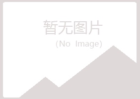 河南夜山能源有限公司